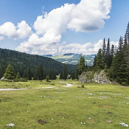 Garni Geier 3* Santa Cristina Val Gardena