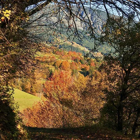 Garni Geier