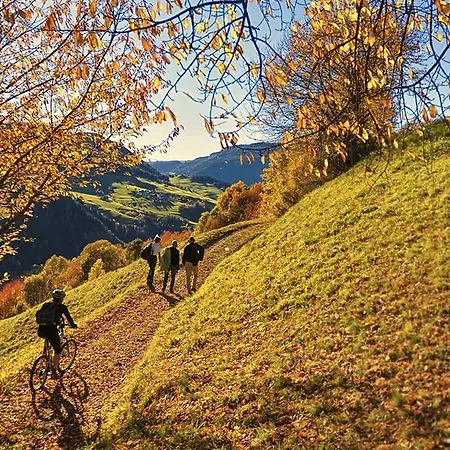 Garni Geier 3* Santa Cristina Val Gardena